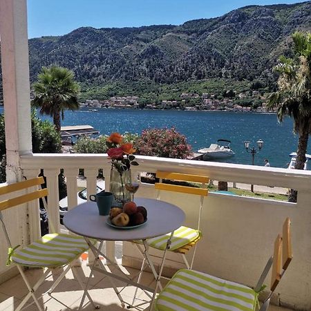 Duplex Apartman Lazaro Kotor Eksteriør bilde